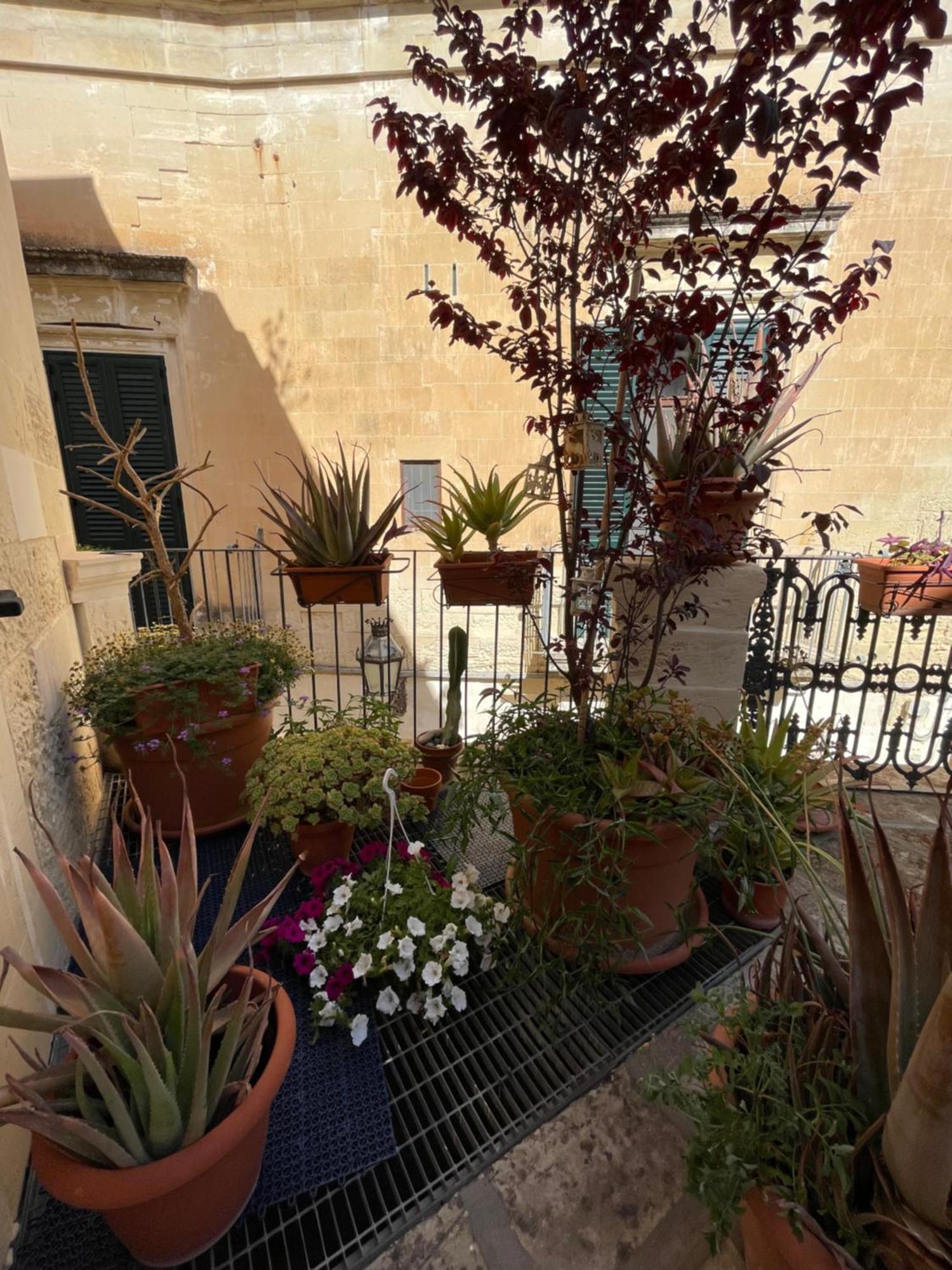 Antica Dimora Dei Nonni Bed and Breakfast Lecce Buitenkant foto